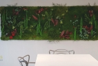 Mur végétal par AUDE Plantes