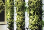 3 murs végétaux verticaux