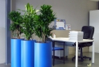 Aude plantes entretien location plantes aménagement coworking