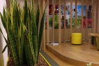 Aude plantes aménagement espace de travail et de réunion