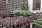 potager d'entreprise