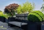 terrasse d'entreprise