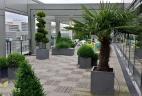terrasse d'entreprise
