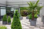 terrasse d'entreprise