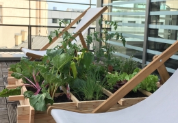 Terrasse et jardin d&#039;entreprise