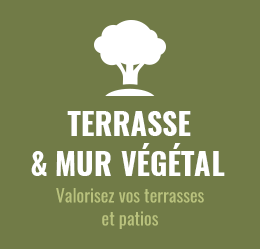 terrasse & mur végétal