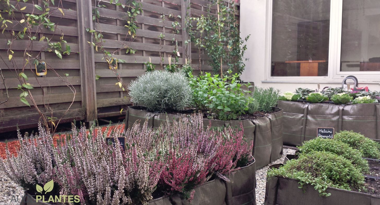 Potager d’entreprise, Espace de coworking, Malakoff
